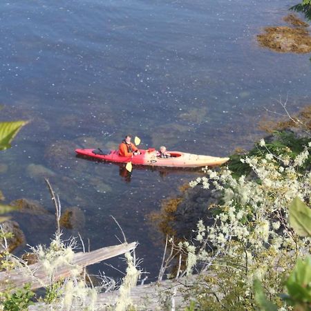 Cygnet Cove Suites Ucluelet Rum bild