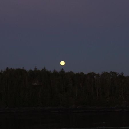 Cygnet Cove Suites Ucluelet Rum bild