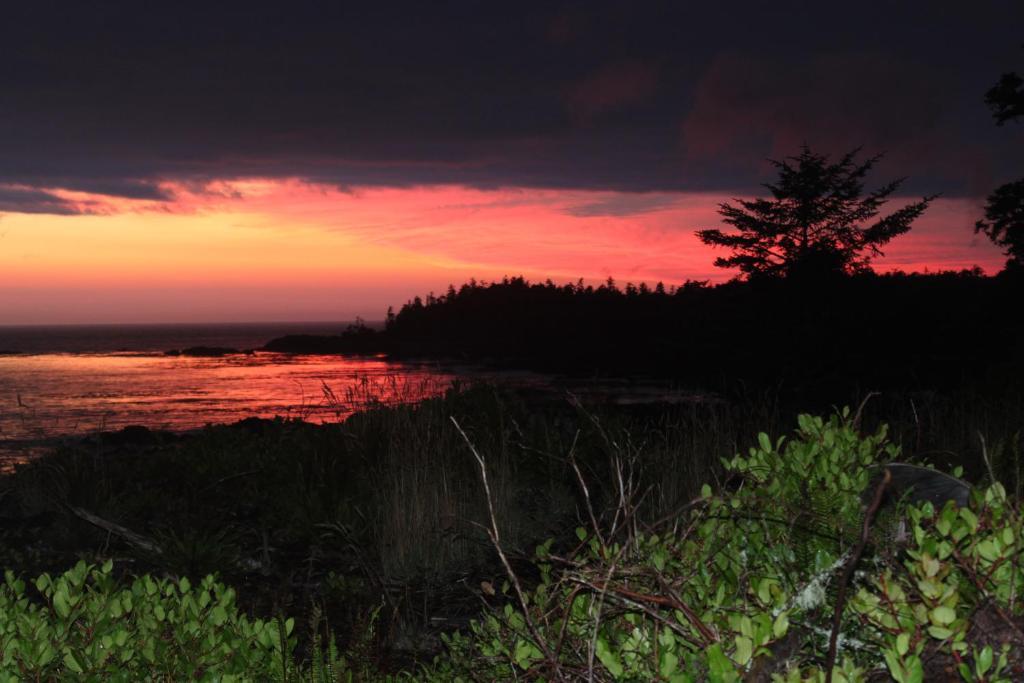 Cygnet Cove Suites Ucluelet Exteriör bild