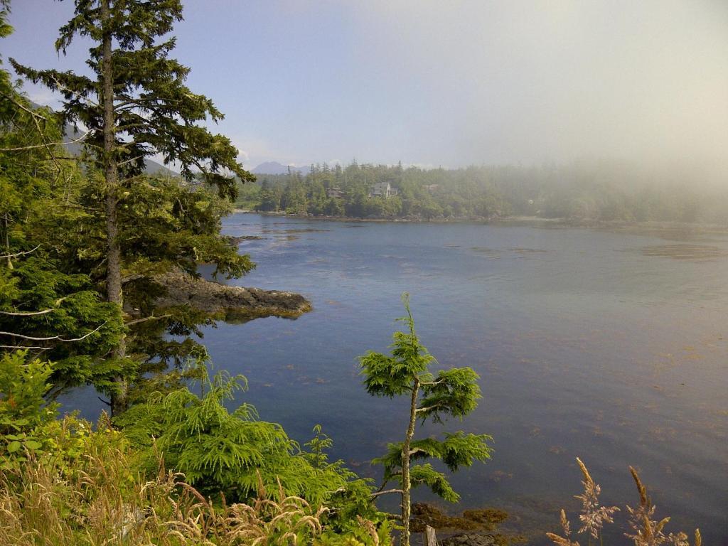 Cygnet Cove Suites Ucluelet Exteriör bild