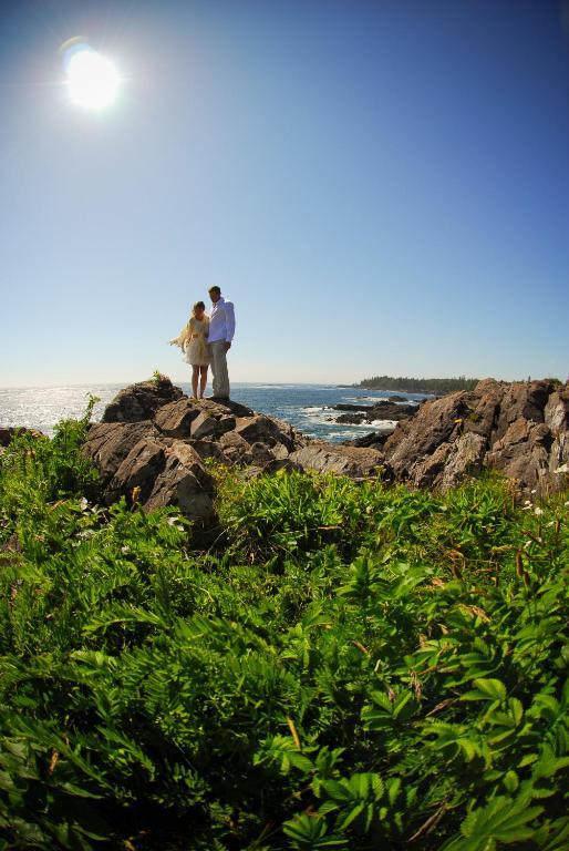 Cygnet Cove Suites Ucluelet Exteriör bild