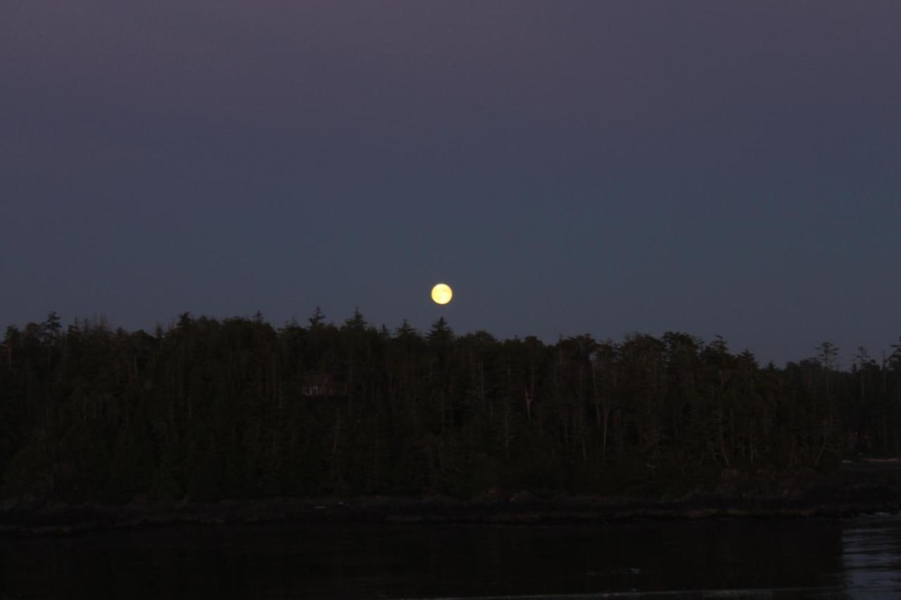 Cygnet Cove Suites Ucluelet Rum bild